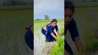 Ropaniya Dhan Ke Vishal Yadav Shilpi Raj New video song [upl. by God294]