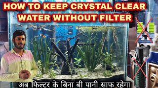 How to Keep Crystal clear Water without Filter In Aquarium [upl. by Anoyi]