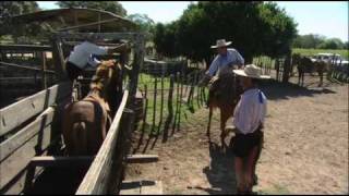 Under the Spell of Horses  Argentina [upl. by Seiter]