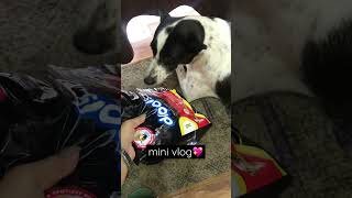 Dog food💖Drools puppy nutritionBulbul varshney vlogs dogfood drools minivlog viralshorts [upl. by Shah]