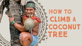 How To Climb a Coconut Tree [upl. by Meares806]