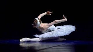 🦢 Svetlana Zakharova  The Dying Swan 🩰 [upl. by Aelyak]