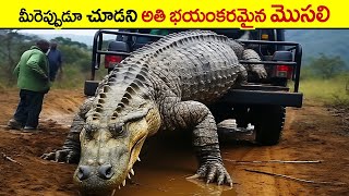 🔵 అతి క్రూరమైన మొసలి  most Deadly extinct animals  facts in telugu  intresting animal facts [upl. by Lacsap923]