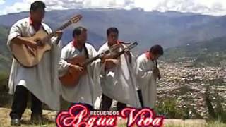 AGUA VIVA Si vienes a mi Abancay Huayno Apurimac [upl. by Inanuah]