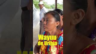 Cancillería apoya proyecto que benefició a 126 mujeres Wayuu en Uribia y Manaure en La Guajira [upl. by Nainatrad]