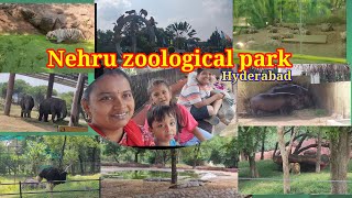 Nehru zoological park Hyderabad [upl. by Lois]