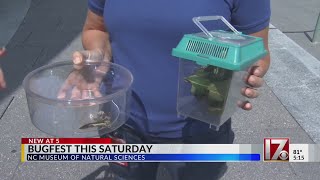 Bugfest this Saturday at the NC Museum of Natural Sciences [upl. by Eizus384]