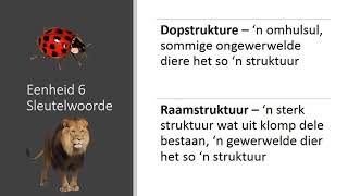 Graad 5 Natuur Wetenskap Kwartaal 1 Module 1 Eenheid 6 [upl. by Yalc928]