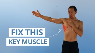 5 Unique Serratus Anterior Exercises for Strong amp Stable Shoulders [upl. by Heim]