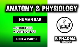 Structure And Function Of Ear  Parts Of Ear  Ear  Human Anatomy And Physiology  B Pharma [upl. by Mariande208]