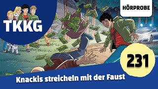 TKKG  Folge 231 Knackis streicheln mit der Faust  Hörprobe zum Hörspiel [upl. by Cotsen81]