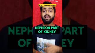 FACTS ABOUT ADDISON DISEASE 😳😲 shorts facts viral science humanbody kidney yt ytshort trend [upl. by Aneram576]