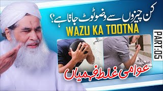 Wazu Karne Ka Tarika  Wazu Ka Sahi Tariqa  Wazu Kin Cheezo Se Toot Jata Hai  Maulana Ilyas Qadri [upl. by Maloy]