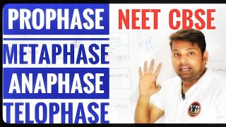 ProphaseMetaphaseAnaphaseTelophase  Meiosis part2  Cell cycle Cell division  Vinay Biology [upl. by Yorgen]