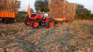 MU5501 VS JD5310 Sugar Cane Demo [upl. by Golanka]