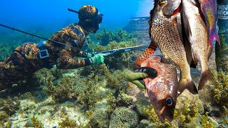 Spearfishing For Food [upl. by Pomona]