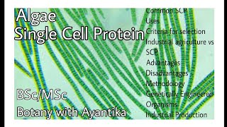 Single Cell Protein [upl. by Berthe]