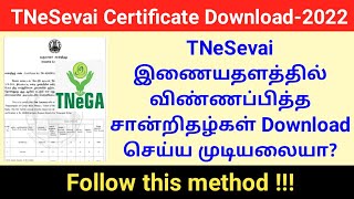 How to download TNeSevai Certificate  esevai certificate download problem solved  Gen Infopedia [upl. by Dihgirb]