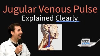 Jugular Venous Pulse JVP Explained Clearly  Evaluation Waveforms Interpretation [upl. by Sami]