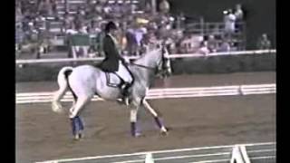 Seldom Seen Retirement Dressage At Devon 1987 [upl. by Tifanie858]