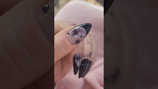 Black Rose Frenchies nails nailart trending shortsviral frenchnails shorts fyp [upl. by Winonah164]