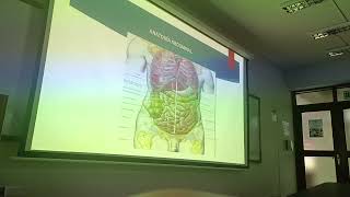 Incisiones y planos Qx  Lavado Cavidades Drenajes  TECNICAS QUIRURGICAS [upl. by Notneuq]