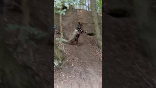 Bike smashing at its best motorcycle dirtbike fail [upl. by Atiana911]