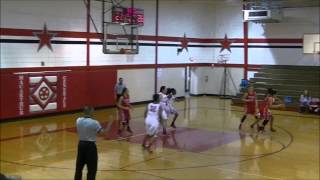 Skye Roach 201415 Basketball Highlights [upl. by Durr557]