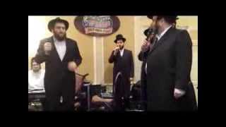 Boruch Sholom Blesofsky Sings at Williamsburg Wedding [upl. by Harilda]