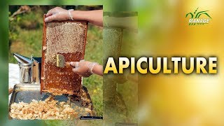 Apiculture Malayalam [upl. by Shiller]