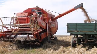 WEIZEN DRESCHEN 2017  Oldtimer in Action  Fahr  Eicher [upl. by Ydoow]