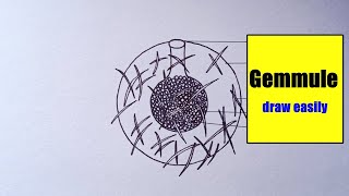 how to draw Gemmule Diagram easily  Gemmule Diagram  how to draw Gemmule Diagram step by step [upl. by Gunter]