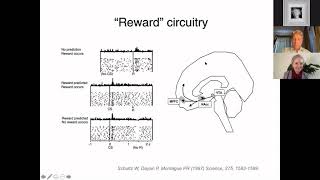 Brian Knutson on quotToward a Deep Science of Affect Motivation and Choicequot [upl. by Garrity577]