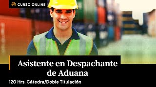 Curso  Asistente en Despachante de Aduana versión 2024 [upl. by Jenesia]