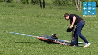 PULS PARITECH RC IMPELLER AEROBATIC FLIGHT ALEXANDER SCHIEGG MULTIPLEX AIRSHOW BRUCHSAL 2017 [upl. by Suiramed]