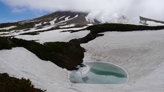 JG HDR 北海道 大雪山旭岳の6月特別天然記念物 Hokkaido Daisetsuzan Asahidake in JuneSpecial Natural Monument [upl. by Nelrac]