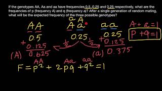 HardyWeinberg equilibrium explained [upl. by Felike]