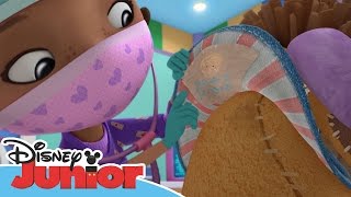 Doktor McStuffins Lejonet Svantes krossade hjärta  Disney Junior Sverige [upl. by Anujra748]