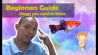 Aquarist Beginners Guide Things you need to know [upl. by Zil]