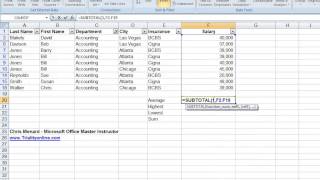 Using Excels Subtotal Function with Filters in Excel [upl. by Pavel]