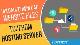 Upload amp Download Website Files From Server  How to use FileZilla [upl. by Budwig]