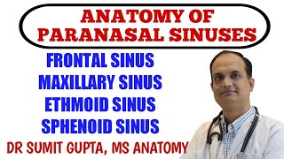 PARANASAL SINUSES  ANATOMY [upl. by Lucchesi141]