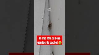 PS5 cu gandaci la pachet 🤮 [upl. by Llyrat]