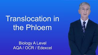 A Level Biology Revision quotTranslocation in the Phloemquot [upl. by Thibault127]