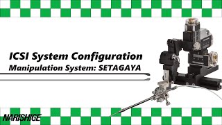 ICSI System Configuration [upl. by Clauddetta]