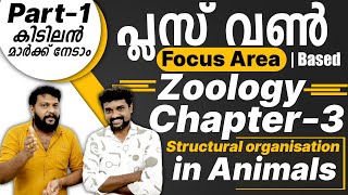 Plus One Zoology  Focus Area Based Class  Chapter 3  Structural Organization in Animals  Part 1 [upl. by Terrilyn]