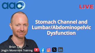 Stomach Channel and LumbarAbdominopelvic Dysfunction [upl. by Anitserp]