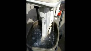 8HP Johnson Outboard Motor Demo J8RCEC [upl. by Annav]