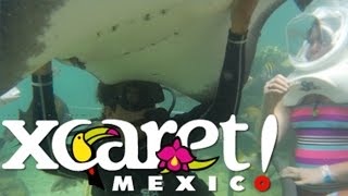 Parque Xcaret Cancun Mexico Parte 3 Parque Xcaret Videos [upl. by Sahc]