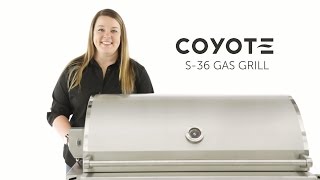 Coyote S Series Gas Grill Review  BBQGuyscom [upl. by Liebman]